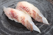 チダイ（血鯛）／ハナダイの目利きと料理
