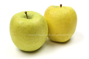 白ふじ,白い,りんご,リンゴ,林檎,アップル