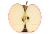 陽光（ようこう） りんご　リンゴの断面