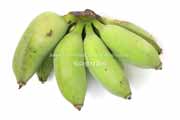 アップルバナナ　Latundan banana