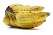 アップルバナナ　Latundan banana