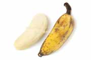 皮をむいたアップルバナナの果肉　Latundan banana