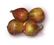 �C�`�W�N �H���`