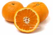 せとみの断面　タンゴール　柑橘