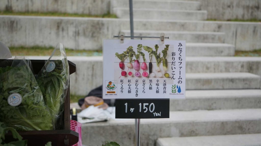 みなくちファームの赤い大根