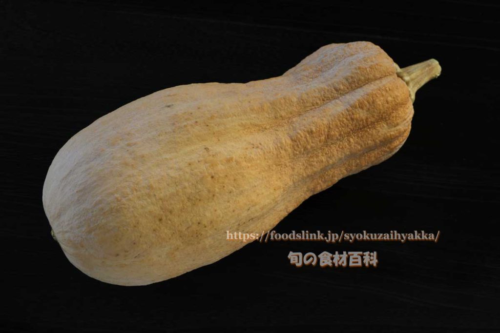 バターナッツ・ルゴサ(Violina Di Rugosa)