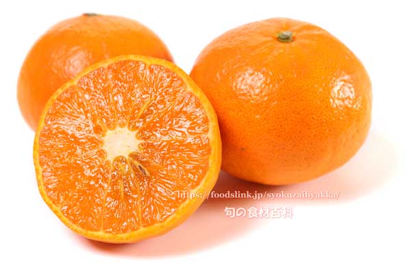 べにばえ ＜ タンゴール ＜ 柑橘類