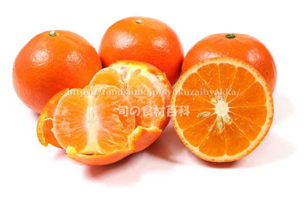 みはや ＜ 柑橘類