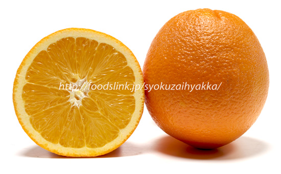 ネーブルオレンジ ＜ オレンジの品種