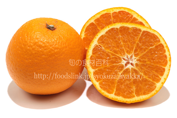 春峰／シュンポウ＜柑橘類