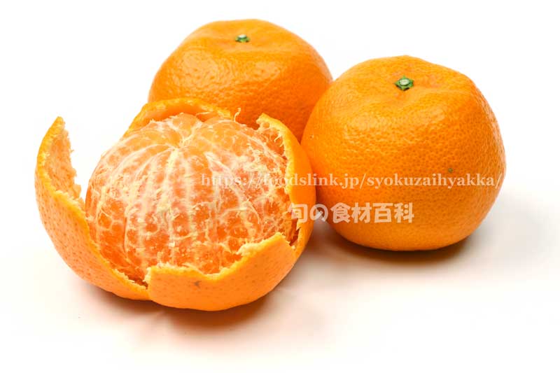 たまみ／タマミ　柑橘
