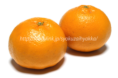 はるみみかん／ハルミ（柑橘）