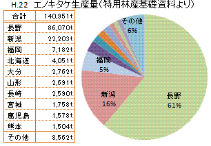 エノキタケ 榎茸 えのきたけ 旬のキノコ百科
