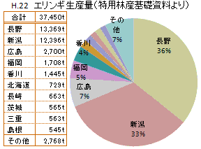エリンギ 旬のキノコ百科