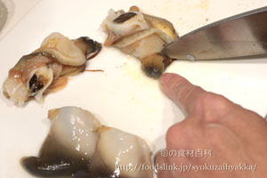 ホッキガイ／ほっき貝のさばき方