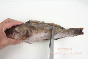 アイナメ アブラメのさばき方 旬の魚介百科