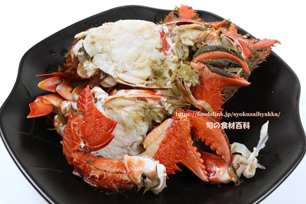 アサヒガニ（雄）の塩ゆで,spanner crab,Ranina ranina