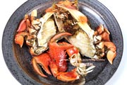 アサヒガニ,グリル,素焼き,spanner crab,Ranina ranina