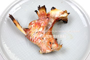 エビスダイのカマの塩焼き えびす鯛　ヨロイダイ　具足鯛 