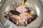 クロホシフエダイ（黒星笛鯛）のかぶと焼き