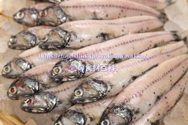 新鮮なハダカイワシの写真