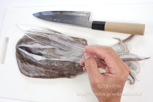 アオリイカ 障泥烏賊 のさばき方 旬の魚介百科