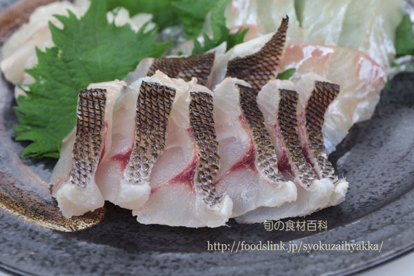 イサキ/鶏魚/伊佐木