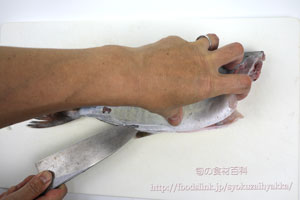 カンパチ 間八 かんぱちのさばき方 刺身用 旬の魚介百科