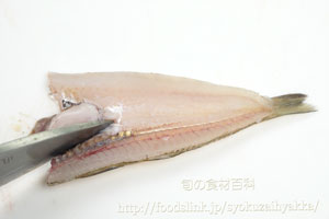 キス 鱚 シロギスのさばき方 背開き 旬の魚介百科