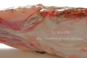 ワニゴチは間鰓蓋部の皮弁が丸い単一形
