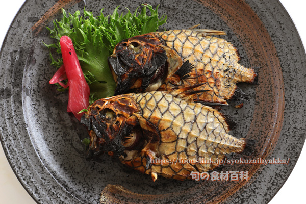 マツカサウオの素焼き　グリル Monocentris japonica Pineconefish　Pineapple fish