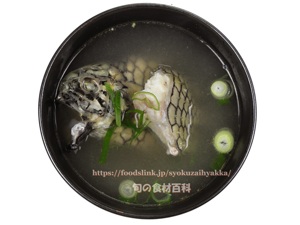 マツカサウオの味噌汁 Monocentris japonica Pineconefish　Pineapple fish