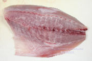 カスミアジ Bluefin trevally Caranx melampygus