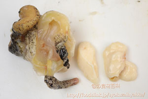 つぶ貝／ツブガイ／マツブ／エゾボラ：さばき方と唾液腺の処理