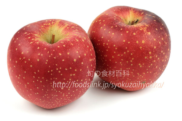 千雪（ちゆき）／あおり２７＜リンゴの品種：旬の果物百科