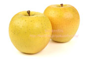 栄黄雅(えいこうが）りんご　リンゴ