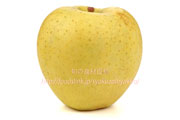 栄黄雅(えいこうが）りんご　リンゴ