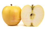 栄黄雅(えいこうが）の断面と果肉りんご　リンゴ