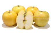 栄黄雅(えいこうが）の断面と果肉りんご　リンゴ