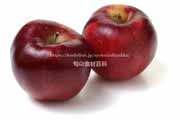 炎舞（えんぶ） 果肉も赤いリンゴ