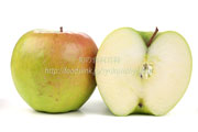 グラニースミスの断面と果肉／Granny Smith apple　青リンゴ 青りんご