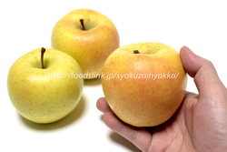 星の金貨／あおり15＜りんご／リンゴ
