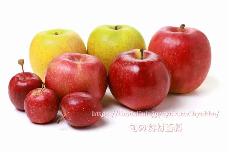 リンゴ（林檎/りんご）の98品種一覧：旬の果物百科
