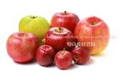 リンゴ・林檎・りんご