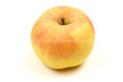 ムーンふじ＜リンゴ／りんご