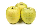 王林／おうりん　りんご　リンゴ