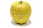 王林／おうりん　りんご　リンゴ