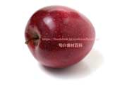 果肉が赤いリンゴ　レッド キュー　ワックスを磨いた状態