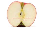 彩香の断面,さいか,あおり9,りんご,リンゴ