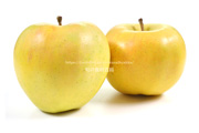トキ　りんご,リンゴ